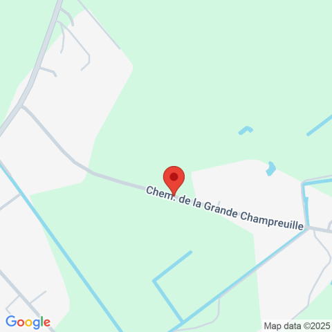 Carte Google Maps affichant la position de la structure