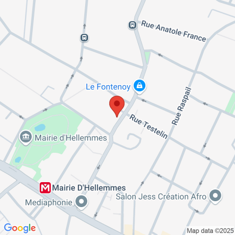 Carte Google Maps affichant la position de la structure