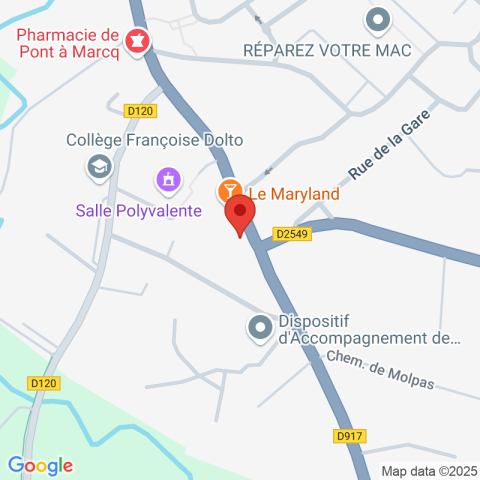 Carte Google Maps affichant la position de la structure