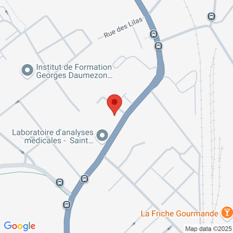 Carte Google Maps affichant la position de la structure