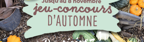 Concours d'automne 2024 aux jardins à vivre